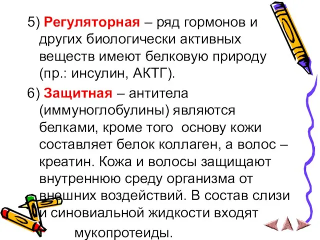 5) Регуляторная – ряд гормонов и других биологически активных веществ имеют белковую