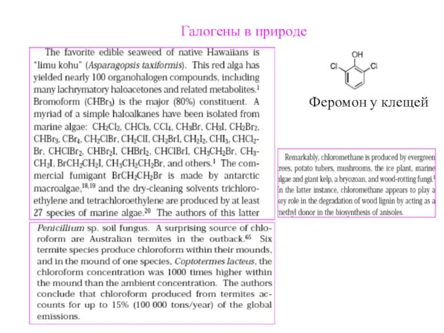 Галогены в природе Феромон у клещей