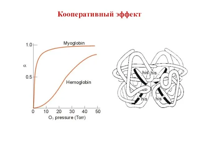 Кооперативный эффект