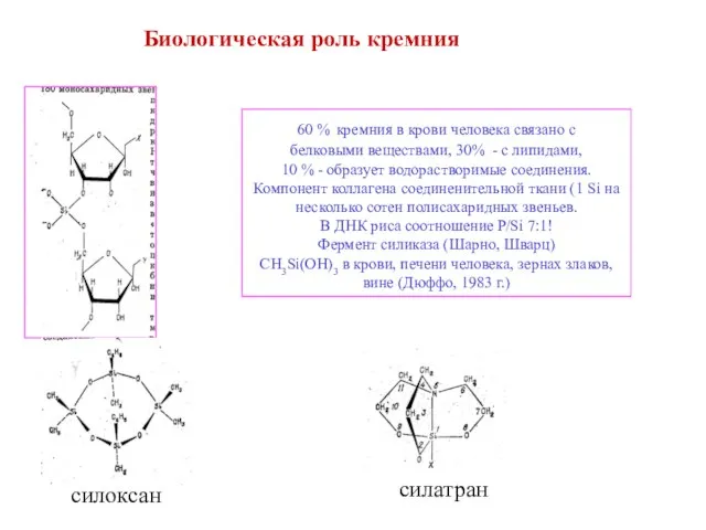 Биологическая роль кремния 60 % кремния в крови человека связано с белковыми