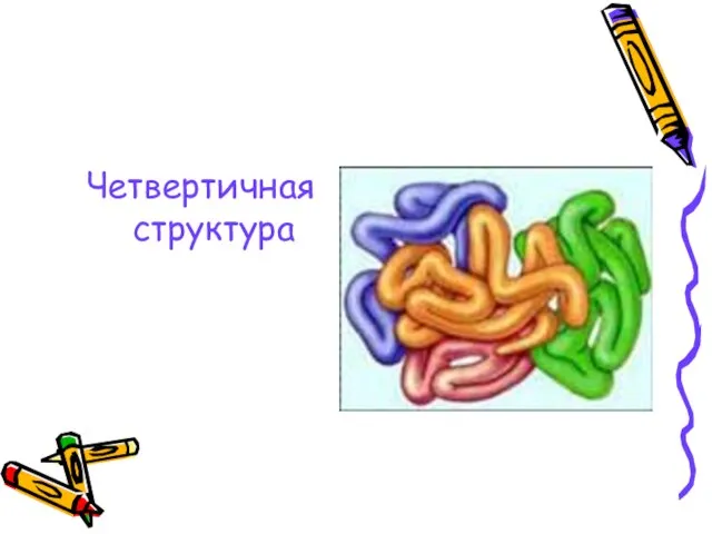 Четвертичная структура