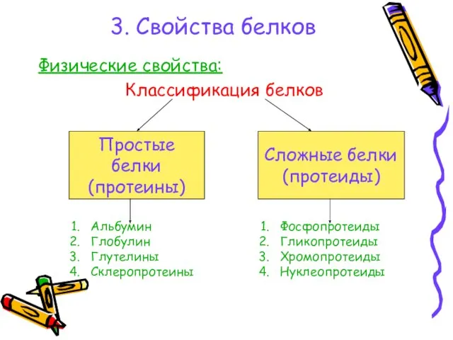 3. Свойства белков Физические свойства: Классификация белков Простые белки (протеины) Сложные белки