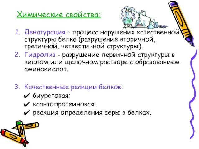 Химические свойства: Денатурация – процесс нарушения естественной структуры белка (разрушение вторичной, третичной,