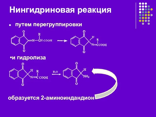 Нингидриновая реакция путем перегруппировки и гидролиза образуется 2-аминоиндандион