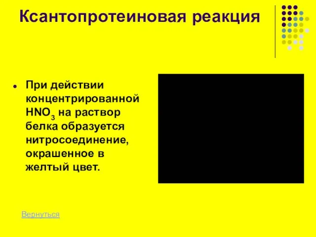 Ксантопротеиновая реакция При действии концентрированной НNО3 на раствор белка образуется нитросоединение, окрашенное в желтый цвет. Вернуться