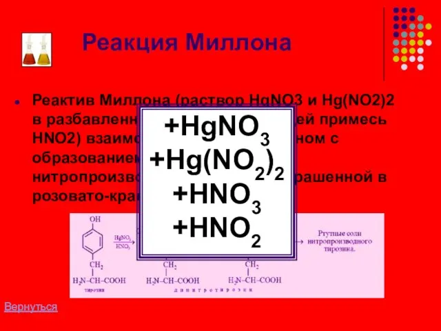 Реакция Миллона Реактив Миллона (раствор HgNO3 и Hg(NO2)2 в разбавленной HNO3, содержащей