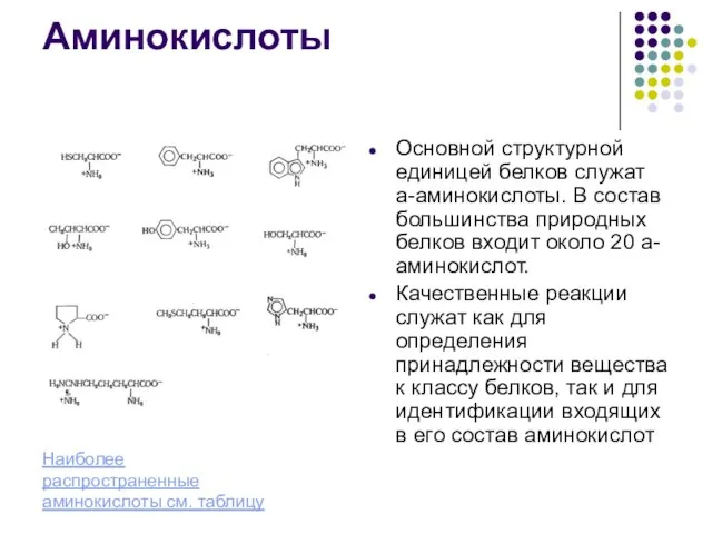 Аминокислоты Основной структурной единицей белков служат a-аминокислоты. В состав большинства природных белков