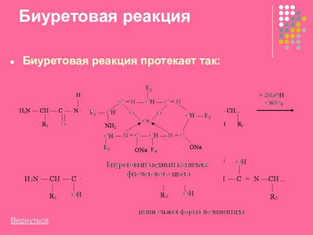 Биуретовая реакция Биуретовая реакция протекает так: +CuSO4 +NaOH Вернуться