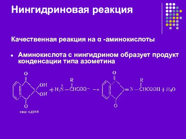 Нингидриновая реакция Качественная реакция на α -аминокислоты Аминокислота с нингидрином образует продукт конденсации типа азометина