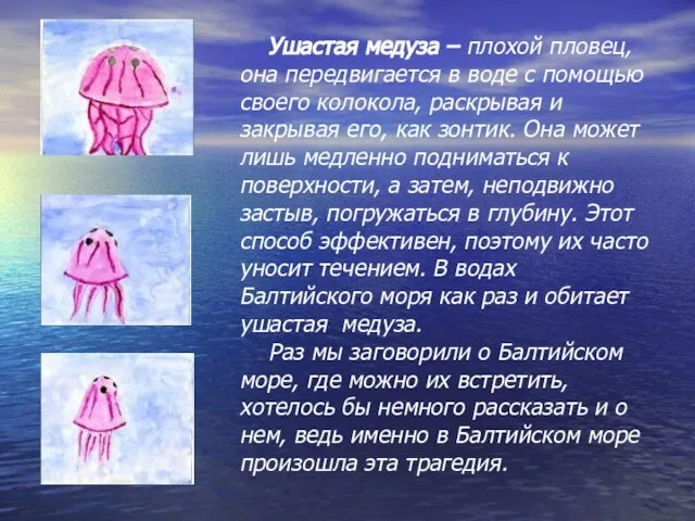 Ушастая медуза – плохой пловец, она передвигается в воде с помощью своего