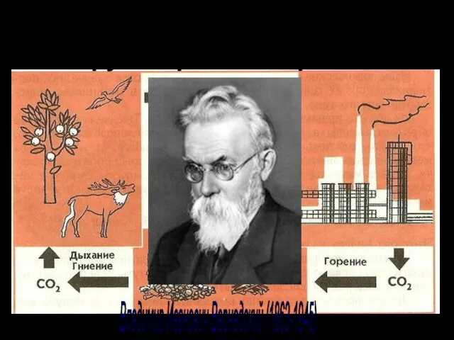 Появление кислорода на Земле. Круговорот кислорода в природе. Владимир Иванович Вернадский (1863-1945)