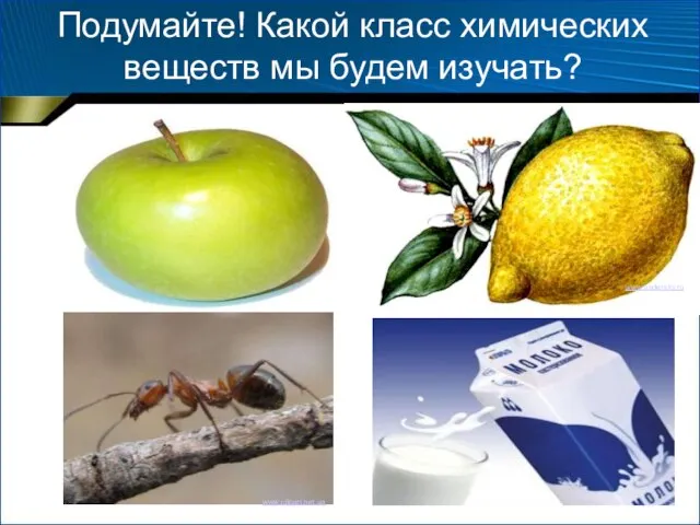 Подумайте! Какой класс химических веществ мы будем изучать? images.yandex.ru www.clipart.net.ua www.undersky.ru