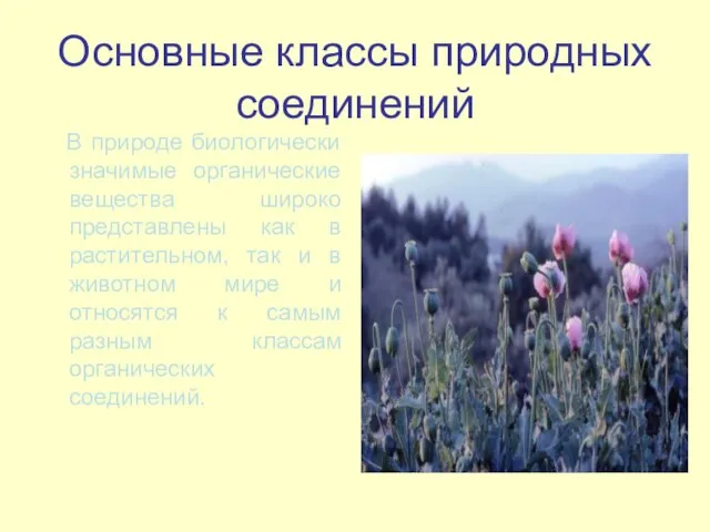 Основные классы природных соединений В природе биологически значимые органические вещества широко представлены