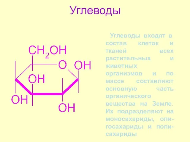 Углеводы Углеводы входят в состав клеток и тканей всех растительных и животных