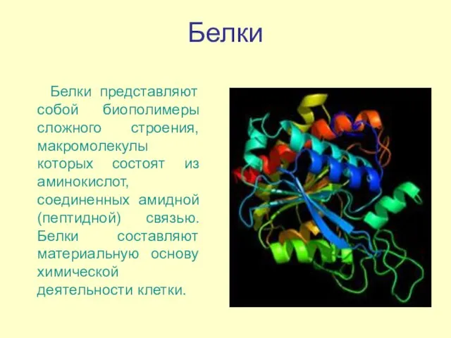 Белки Белки представляют собой биополимеры сложного строения, макромолекулы которых состоят из аминокислот,