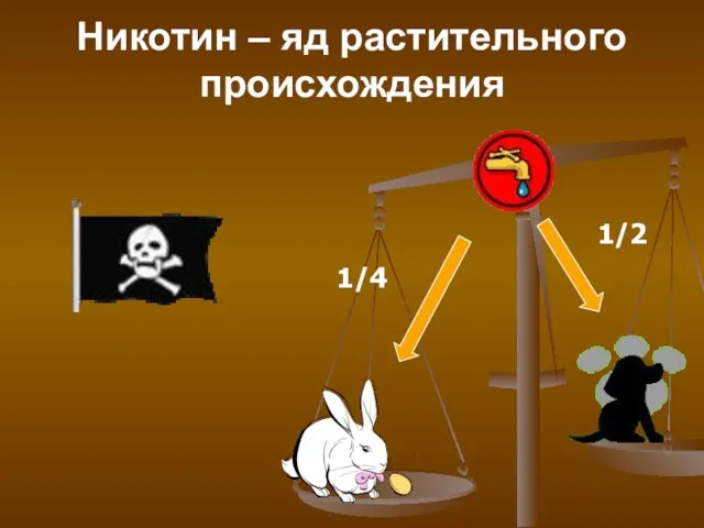 Никотин – яд растительного происхождения 1/4 1/2