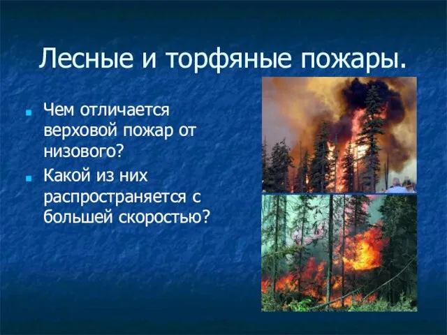 Лесные и торфяные пожары. Чем отличается верховой пожар от низового? Какой из