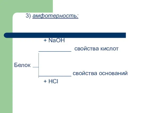 3) амфотерность: + NaOH __________ cвойства кислот Белок __________ свойства оснований + HCl