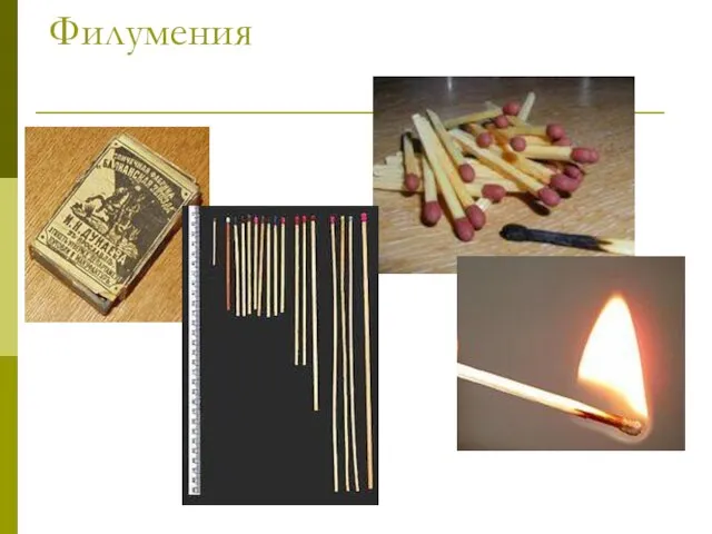 Филумения