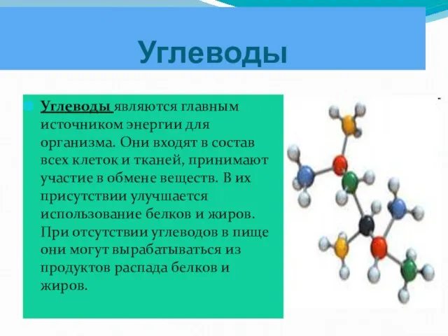 Углеводы Углеводы являются главным источником энергии для организма. Они входят в состав