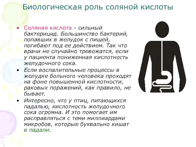 Биологическая роль соляной кислоты Соляная кислота - сильный бактерицид. Большинство бактерий, попавших