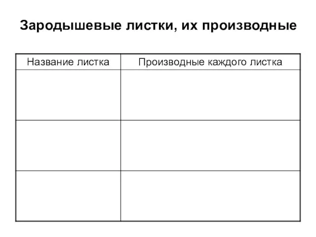 Зародышевые листки, их производные