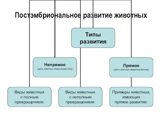 Постэмбриональное развитие животных