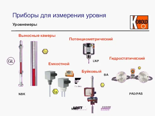 Приборы для измерения уровня Выносные камеры Потенциометрический Буйковый Емкостной NBK BA LNP NMC PAD/PAS Гидростатический Уровнемеры