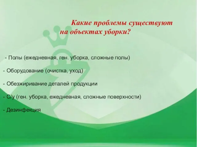 Какие проблемы существуют на объектах уборки? - Полы (ежедневная, ген. уборка, сложные