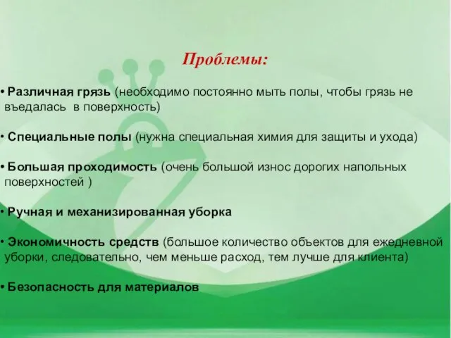 Проблемы: Различная грязь (необходимо постоянно мыть полы, чтобы грязь не въедалась в