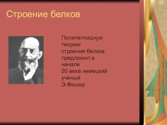 Строение белков Полипептидную теорию строения белков предложил в начале 20 века немецкий ученый Э.Фишер