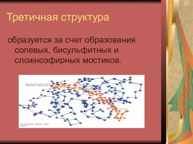 Третичная структура образуется за счет образования солевых, бисульфитных и сложноэфирных мостиков.