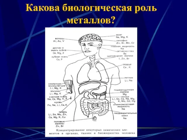 Какова биологическая роль металлов?