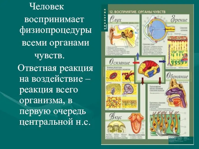 Человек воспринимает физиопроцедуры всеми органами чувств. Ответная реакция на воздействие – реакция