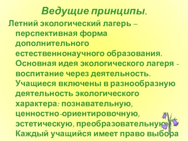 Ведущие принципы. Летний экологический лагерь – перспективная форма дополнительного естественнонаучного образования. Основная