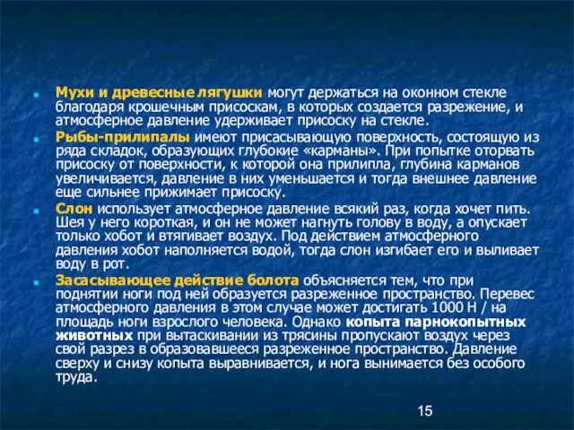 Атмосферное давление в живой природе Мухи и древесные лягушки могут держаться на