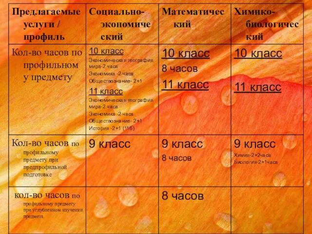 8 часов