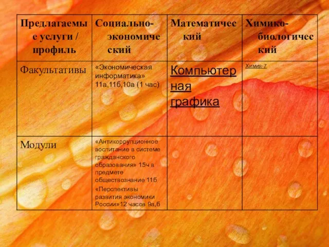 «Антикоррупционное воспитание в системе гражданского образования» 15ч в предмете обществознание 11б «Перспективы