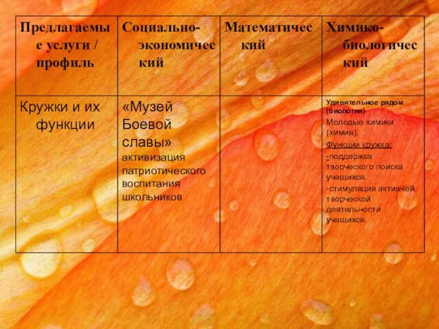 Удивительное рядом(биология) Молодые химики(химия). Функции кружка: -поддержка творческого поиска учащихся. -стимуляция активной творческой деятельности учащихся.