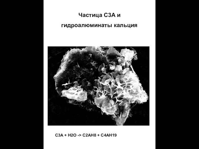 Частица C3A и гидроалюминаты кальция C3A + H2O -> C2AH8 + C4AH19