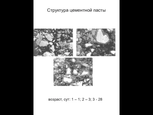 Структура цементной пасты возраст, сут: 1 – 1; 2 – 3; 3 - 28