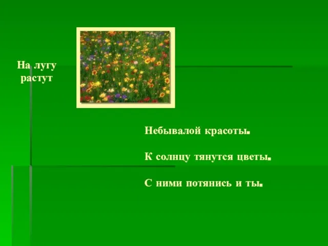 На лугу растут Небывалой красоты. К солнцу тянутся цветы. С ними потянись и ты.