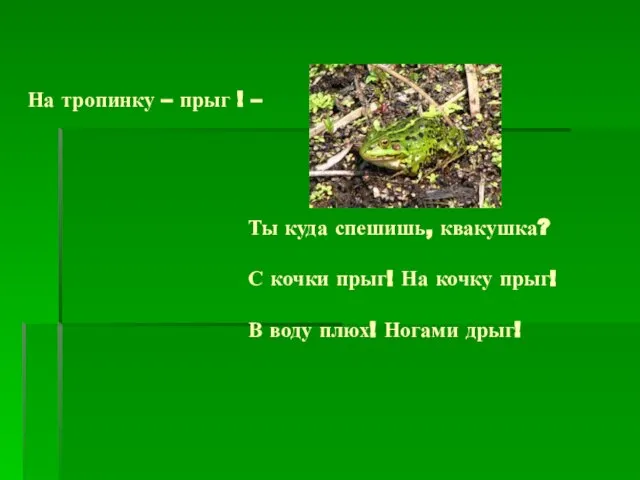 На тропинку – прыг ! – Ты куда спешишь, квакушка? С кочки