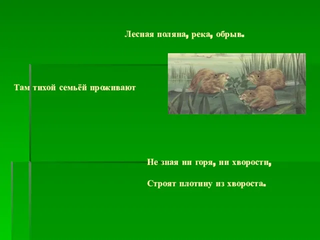 Лесная поляна, река, обрыв. Там тихой семьёй проживают Не зная ни горя,