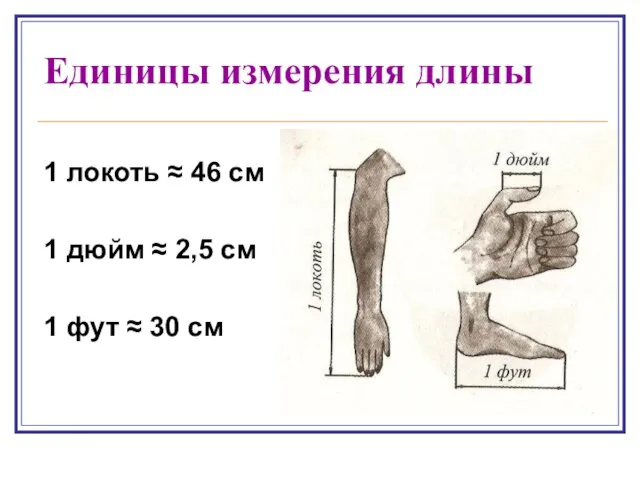 Единицы измерения длины 1 локоть ≈ 46 см 1 дюйм ≈ 2,5