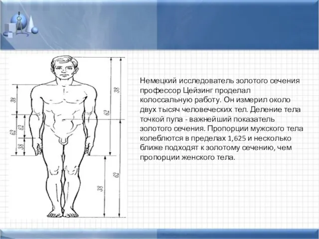 Немецкий исследователь золотого сечения профессор Цейзинг проделал колоссальную работу. Он измерил около