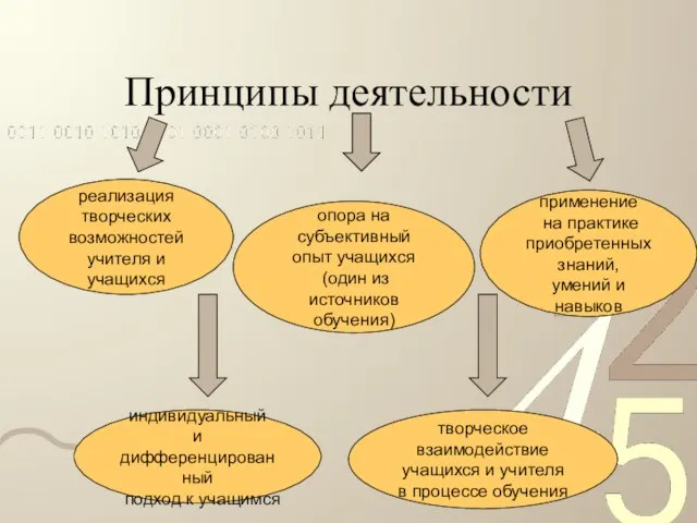 Принципы деятельности реализация творческих возможностей учителя и учащихся индивидуальный и дифференцированный подход