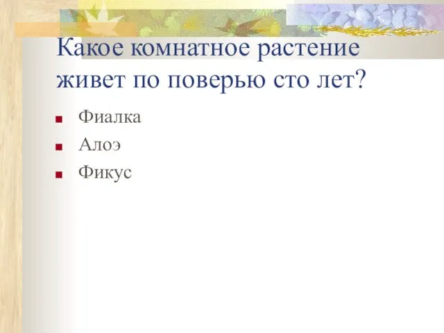 Какое комнатное растение живет по поверью сто лет? Фиалка Алоэ Фикус