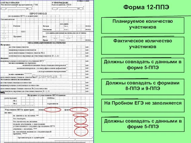 Форма 12-ППЭ Планируемое количество участников Фактическое количество участников Должны совпадать с данными