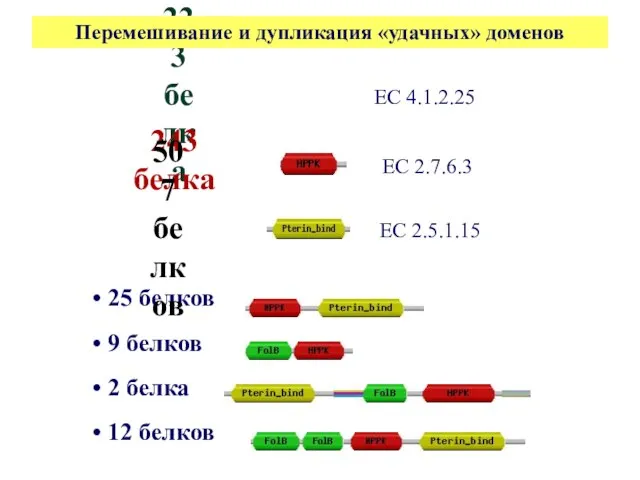 Перемешивание и дупликация «удачных» доменов